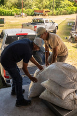 【浅煎り】Panama Flying Pumas -Panther- Geisha washed