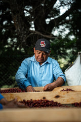 【浅煎り】Panama Flying Pumas -Panther- Geisha washed