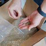 【定期便】HYUGA COFFEE BOX(100g×3種類 / 送料無料)| サブスクリプション