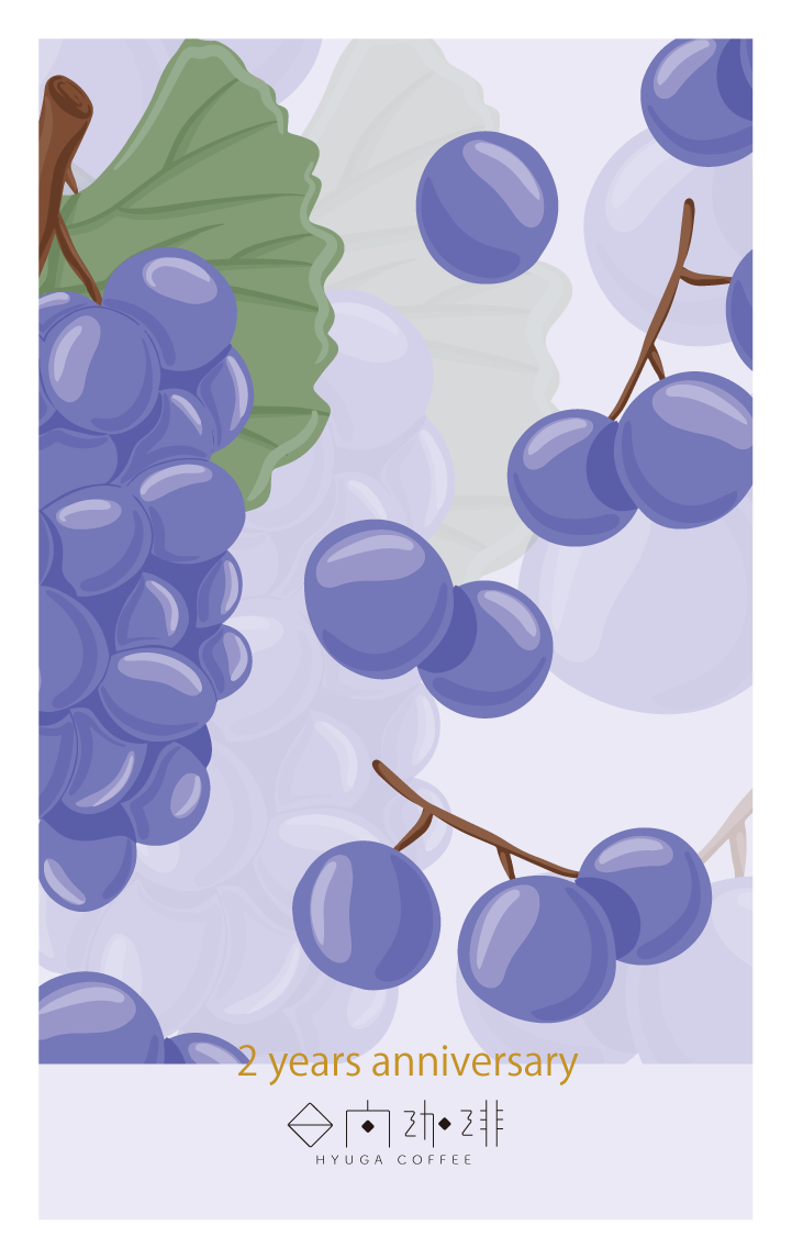 ココナッツ様 Amazon.co.jp: 生分解性ココナッツポット 80×80×85mm 5個