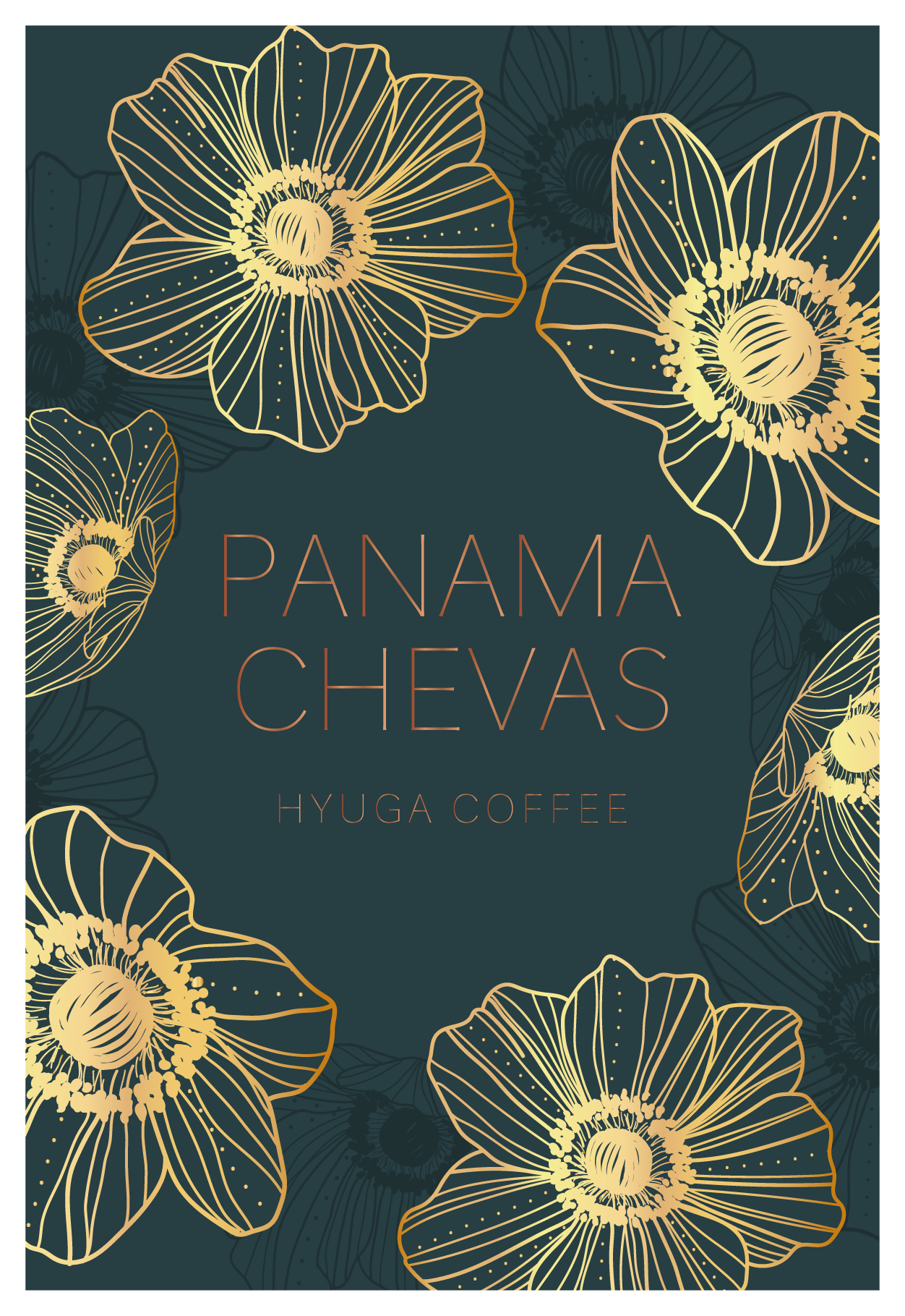 浅煎り】パナマ チェバス ティピカ ナチュラル / Panama Chevas Typica