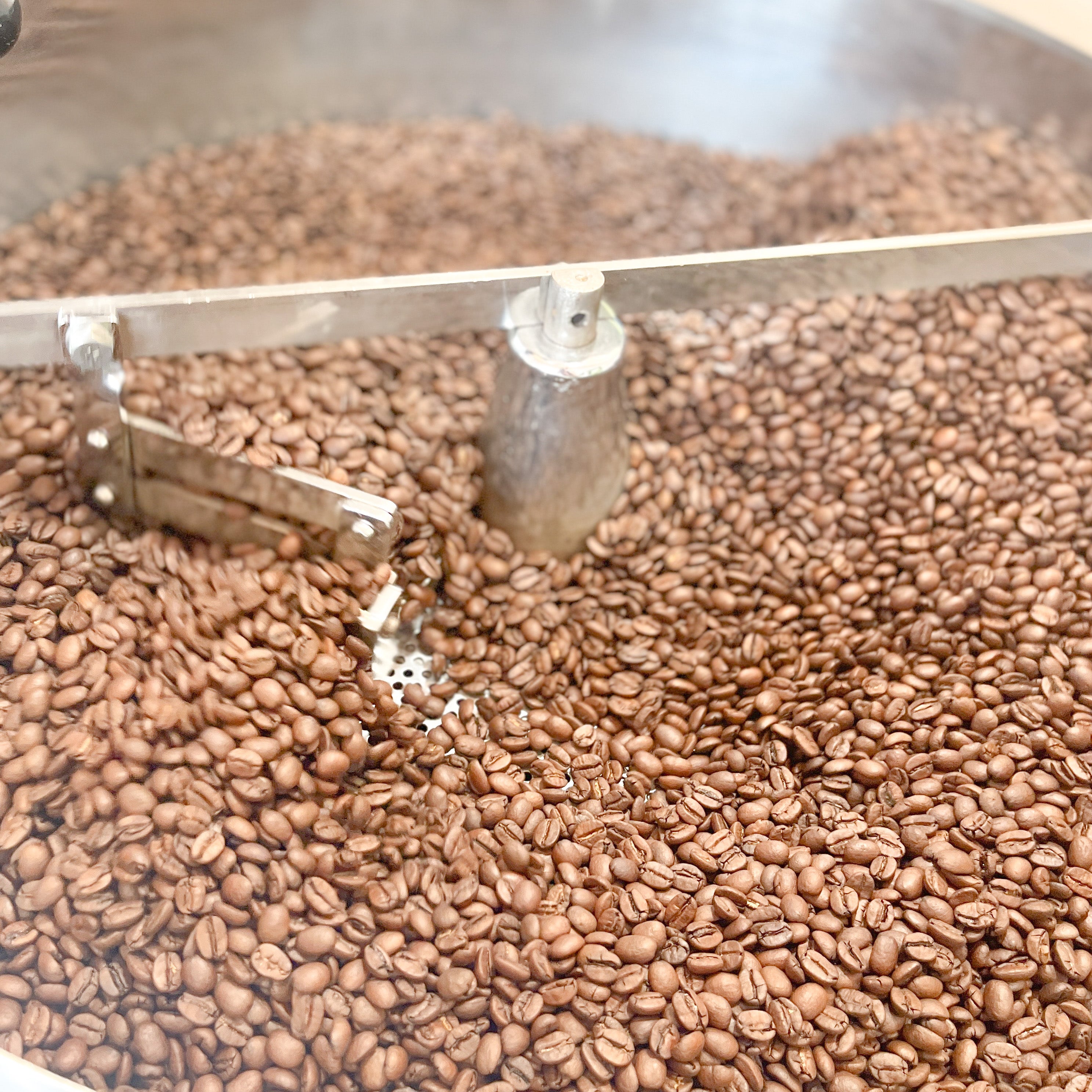 【サンビーチ】コーヒー生豆2種類セット！　※送料無料 楽天市場】コーヒー 生豆 コーヒー生豆 コロンビアマグダレア