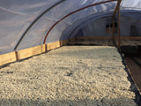【Gradation Roast】ペルー クラシック・プーノ ウォッシュド / Peru Classic Puno washed(100g)