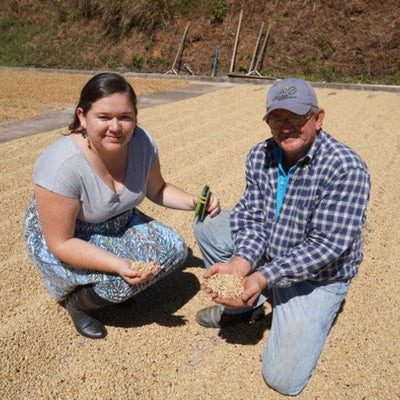 中煎り】コスタリカ ラ・カンデリージャ ウォッシュド / Costarica