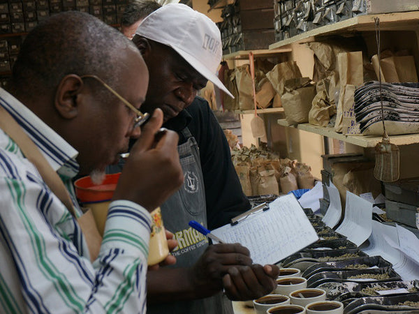 中浅煎り】ケニア ギキリマファクトリー ウォッシュド / Kenya