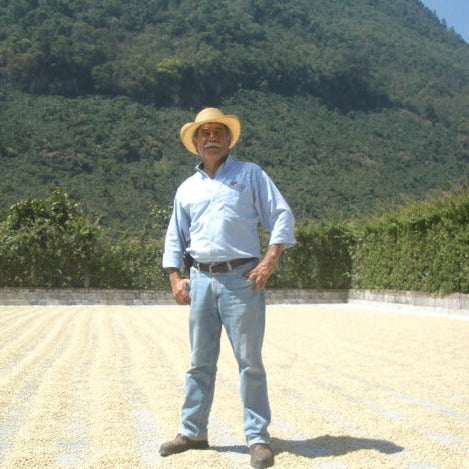 【浅煎り】グアテマラ - エルインヘルト マグノリア ナチュラル / Guatemala - El Injerto Magnolia Natural（100g）