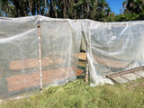 【浅煎り】エルサルバドル ディビナ・プロヴィデンシア ゲイシャ ウォッシュド  /  El Salvador Divina Providencia Geisha Washed（100g）