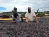 【GAP ROAST #halloween】SPICY MAGIC 2025 -Ethiopia Bench Maji Gesha Karmachi carbonic maceration(100g)