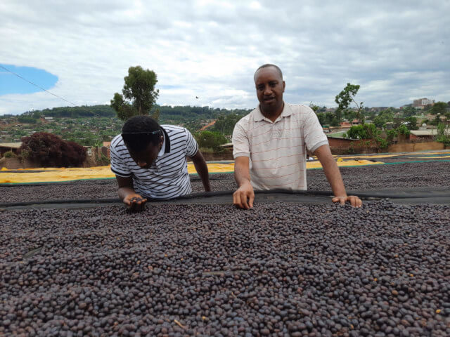 【GAP ROAST #halloween】SPICY MAGIC 2025 -Ethiopia Bench Maji Gesha Karmachi carbonic maceration(100g)