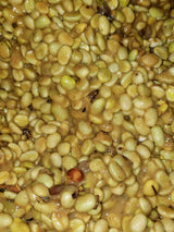 【浅煎り】コロンビア ピタリト チロソ ウォッシュド/  Colombia Pitalito Chiroso Washed (100g)