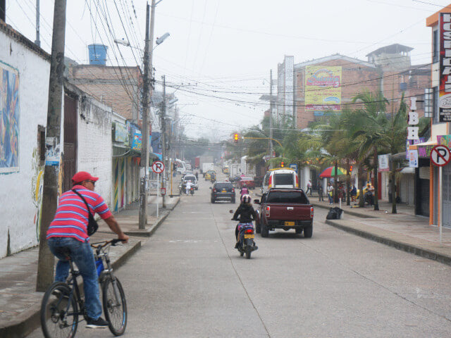 【浅煎り】コロンビア ピタリト チロソ ウォッシュド/  Colombia Pitalito Chiroso Washed (100g)