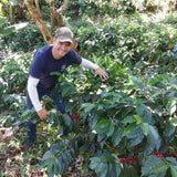 【浅煎り】コスタリカ エルマノス・バルソ バラブランカ カトゥアイ ホワイトハニー / Costa Rica Hermanos Valso Vara Blanca White Honey（100g）