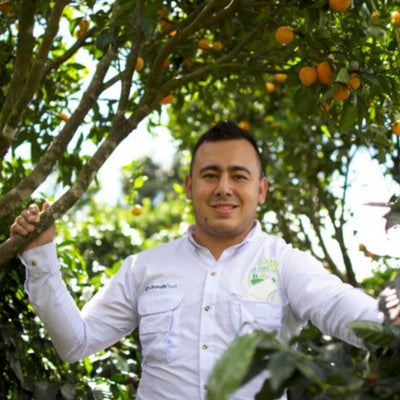 浅煎り】グアテマラ - モンテ・カルメロ カトゥアイ ウォッシュド