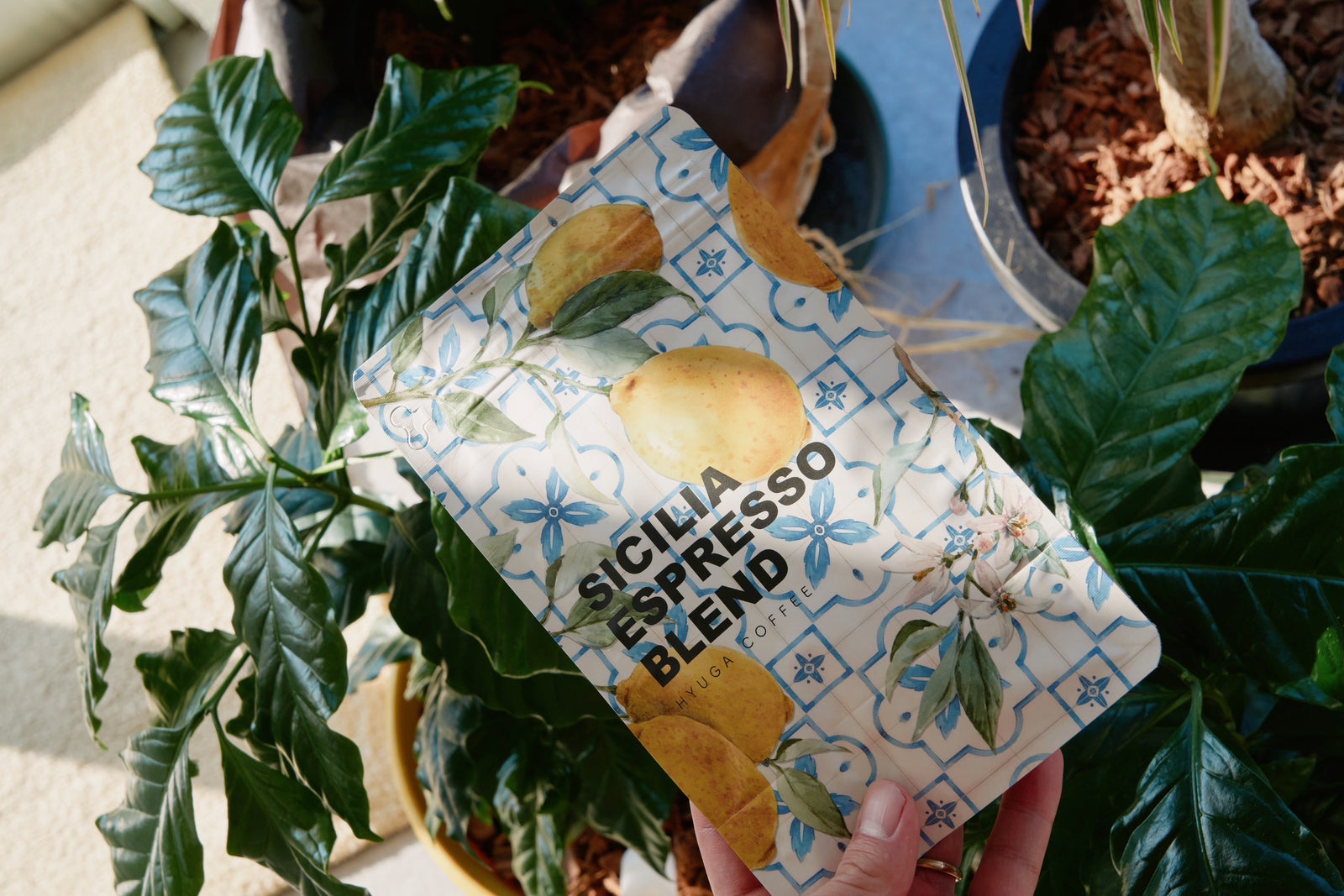 中深煎り】シチリアエスプレッソブレンド / Sicily Espresso Blend