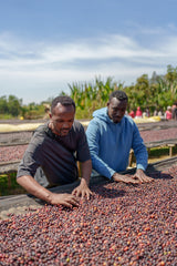 【浅煎り】エチオピア 二グセ・ゲメダ  アゲナ ウォッシュド /  Ethiopia Nigusse Gemeda Agena Washed(100g)