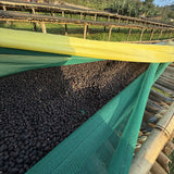 【浅煎り】エチオピア ニグセ・ゲメダ ボンベ ナチュラル/  Ethiopia Niguse Gemeda Bombe Natural (100g)