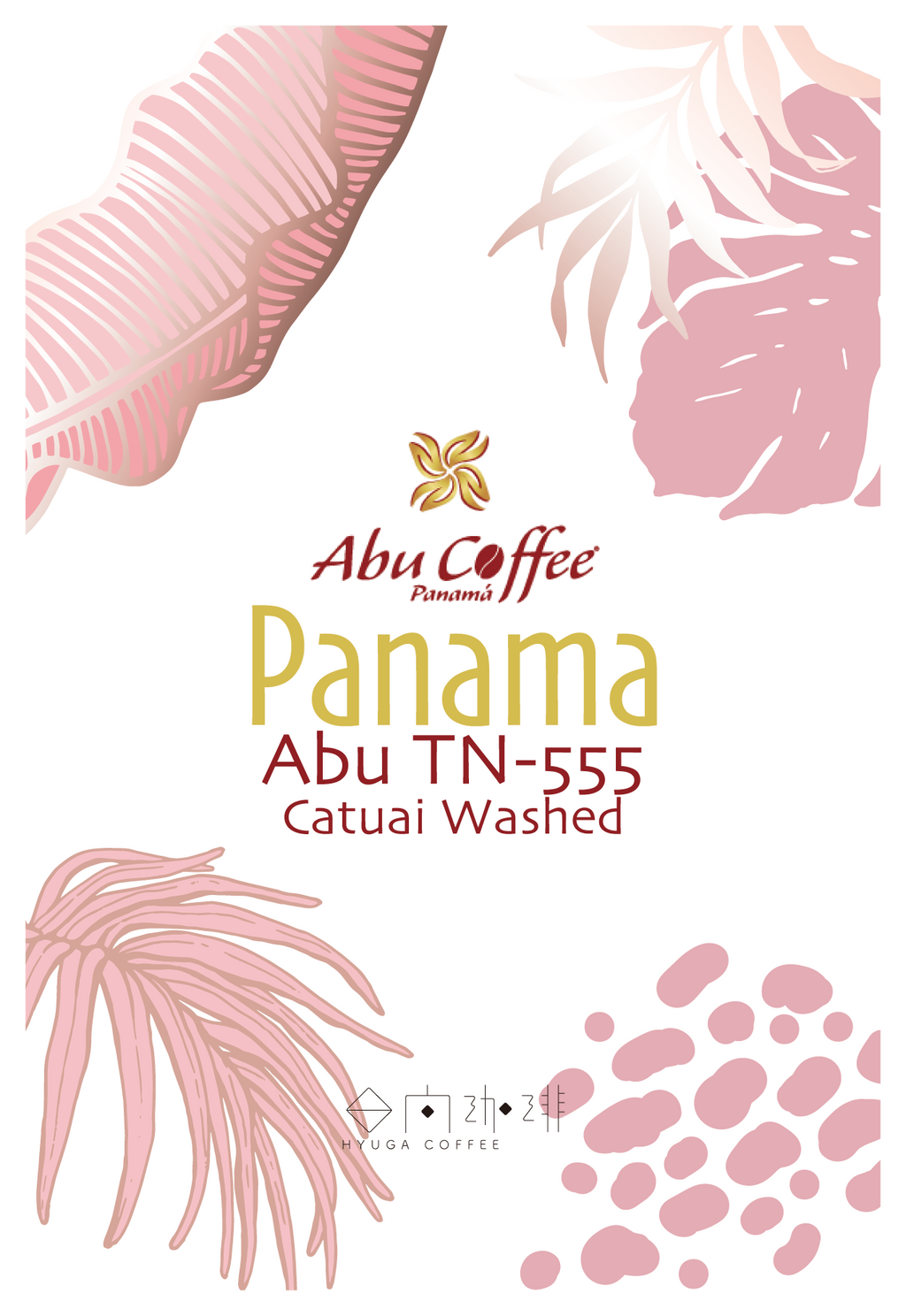 浅煎り】パナマ アブ TN555 カトゥアイ ウォッシュド / Panama ABU