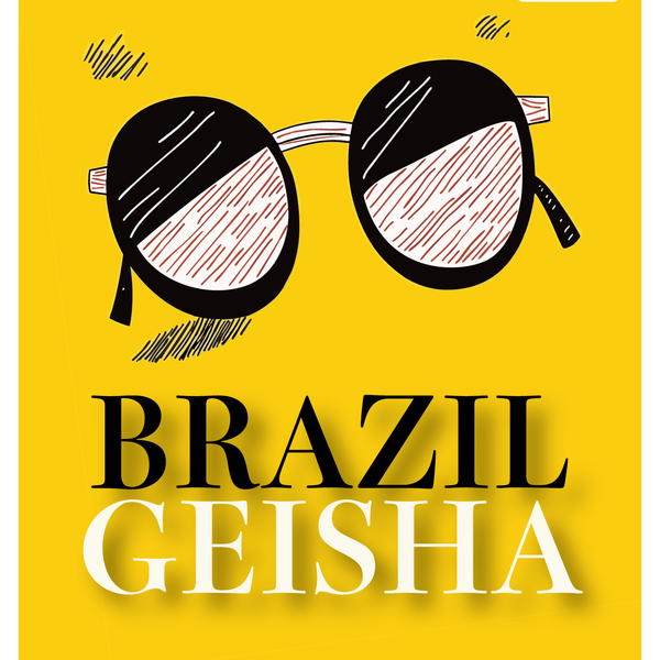 中煎り】ブラジル サントゥアリオ・スル ゲイシャ ナチュラル / Brazil 中煎り】ブラジル サントゥアリオ・スル ゲイシャ ナチュラル / Brazil