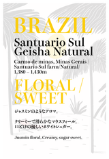 【中煎り】ブラジル サントゥアリオ・スル ゲイシャ ナチュラル /  Brazil  Santuario Sul Geisha Natural(100g)