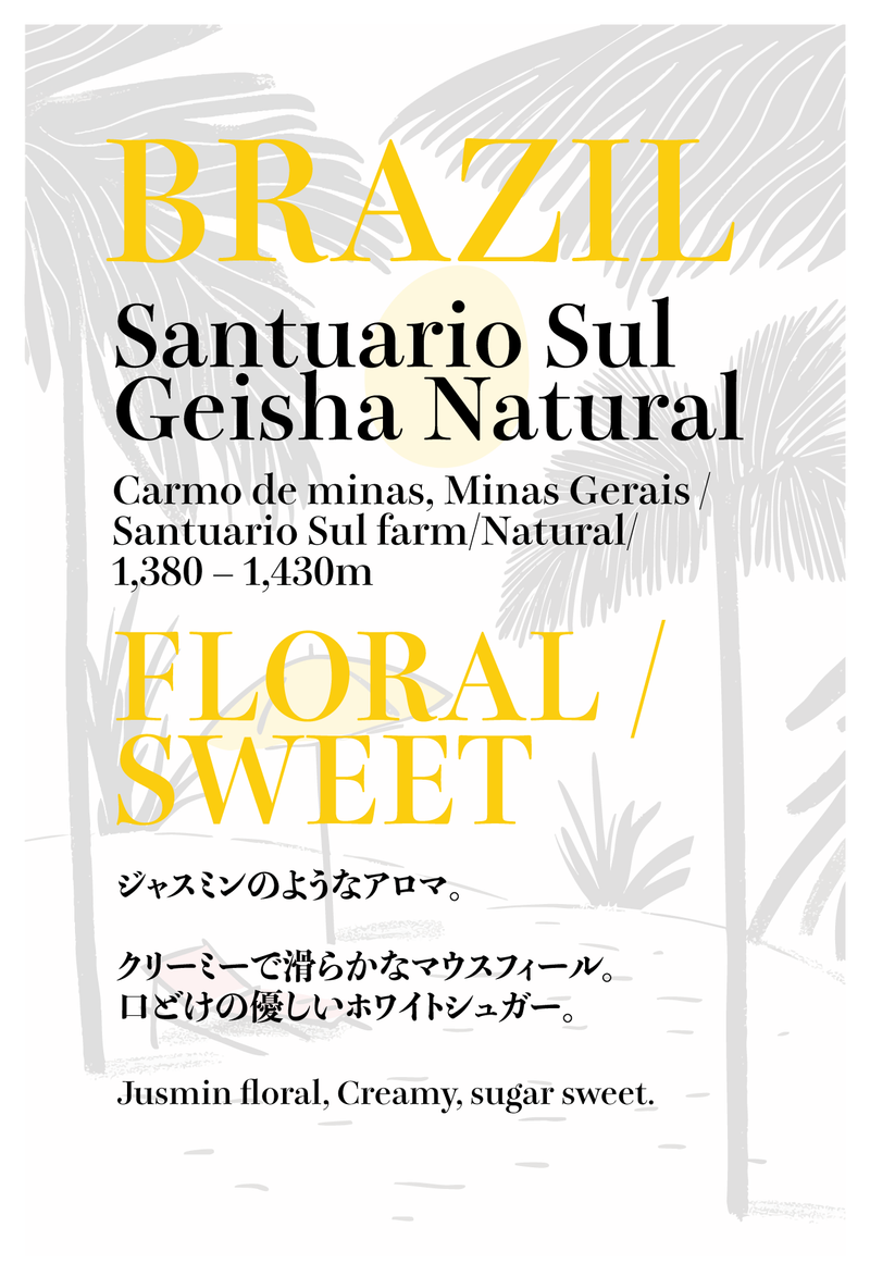 中煎り】ブラジル サントゥアリオ・スル ゲイシャ ナチュラル / Brazil 中煎り】ブラジル サントゥアリオ・スル ゲイシャ ナチュラル / Brazil