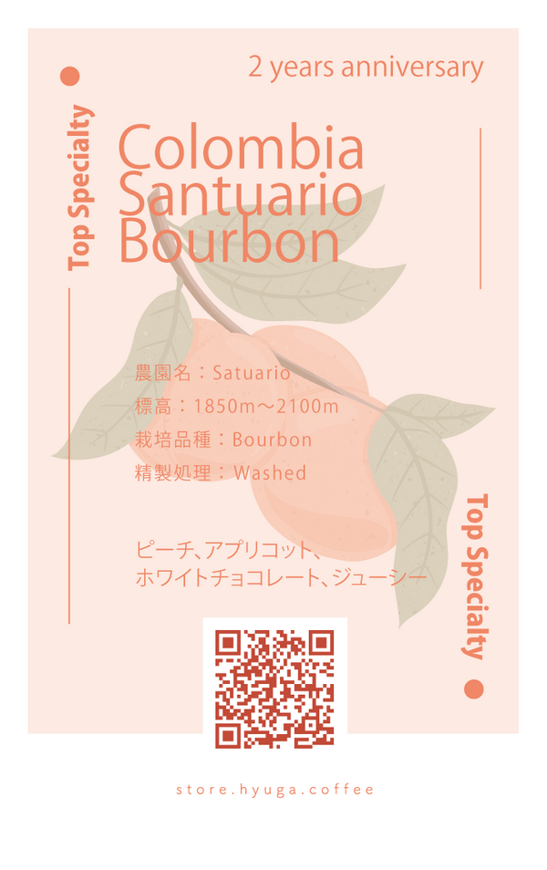 【中煎り】コロンビア　サントゥアリオ　ブルボン/ Colombia Santuario Bourbon #2（100g）