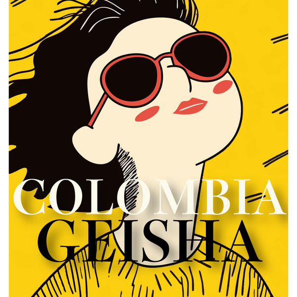 浅煎り】コロンビア ラ・ロカ ゲイシャ ハニー / Colombia la Roca
