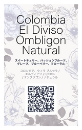 【浅煎り】コロンビア エルディビソ オンブリゴン ナチュラル / Colombia El Diviso Ombligon Natural（100g）
