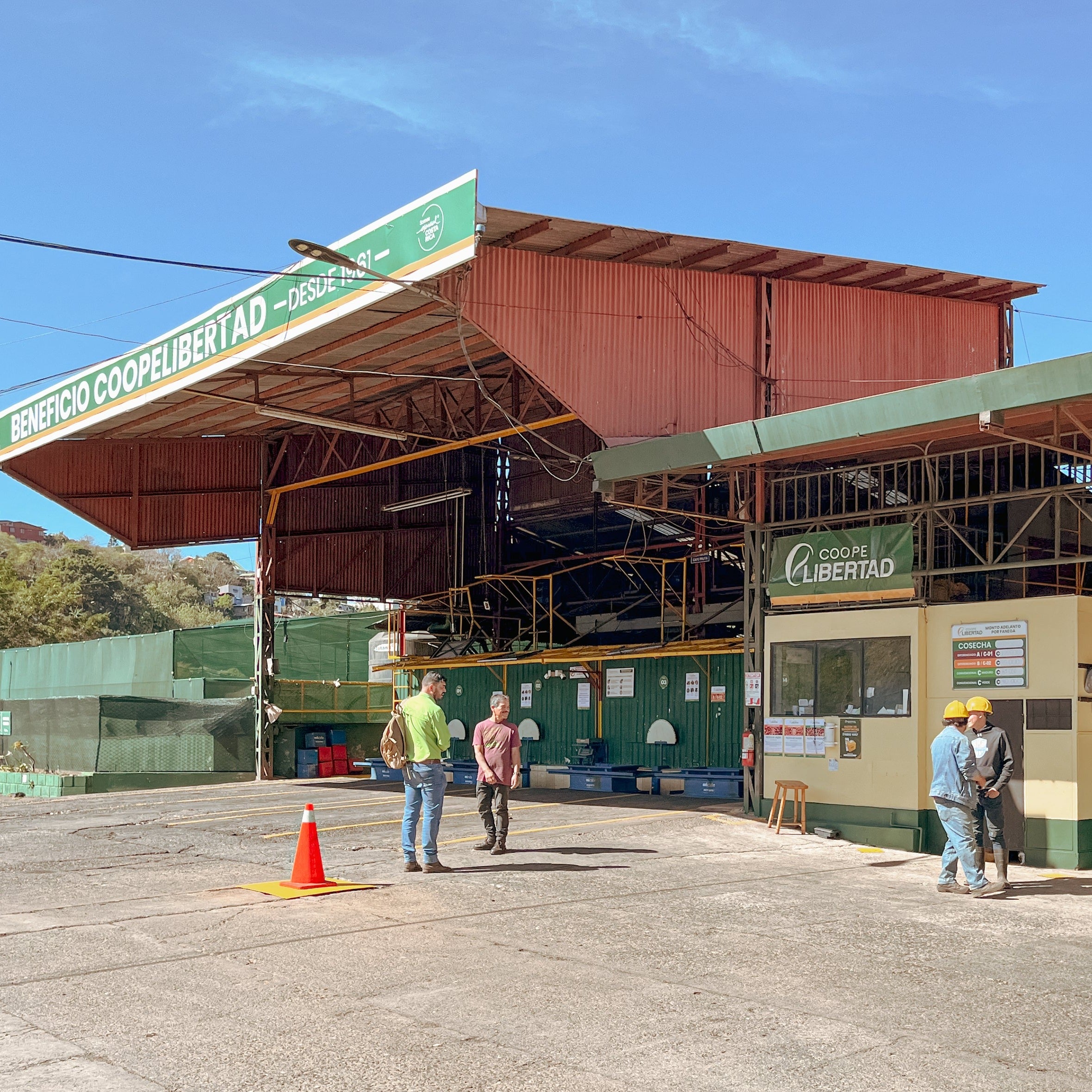 【中煎り】コスタリカリベルタ ウォッシュド/ Costa Rica Libertad Washed（100g） 日向珈琲