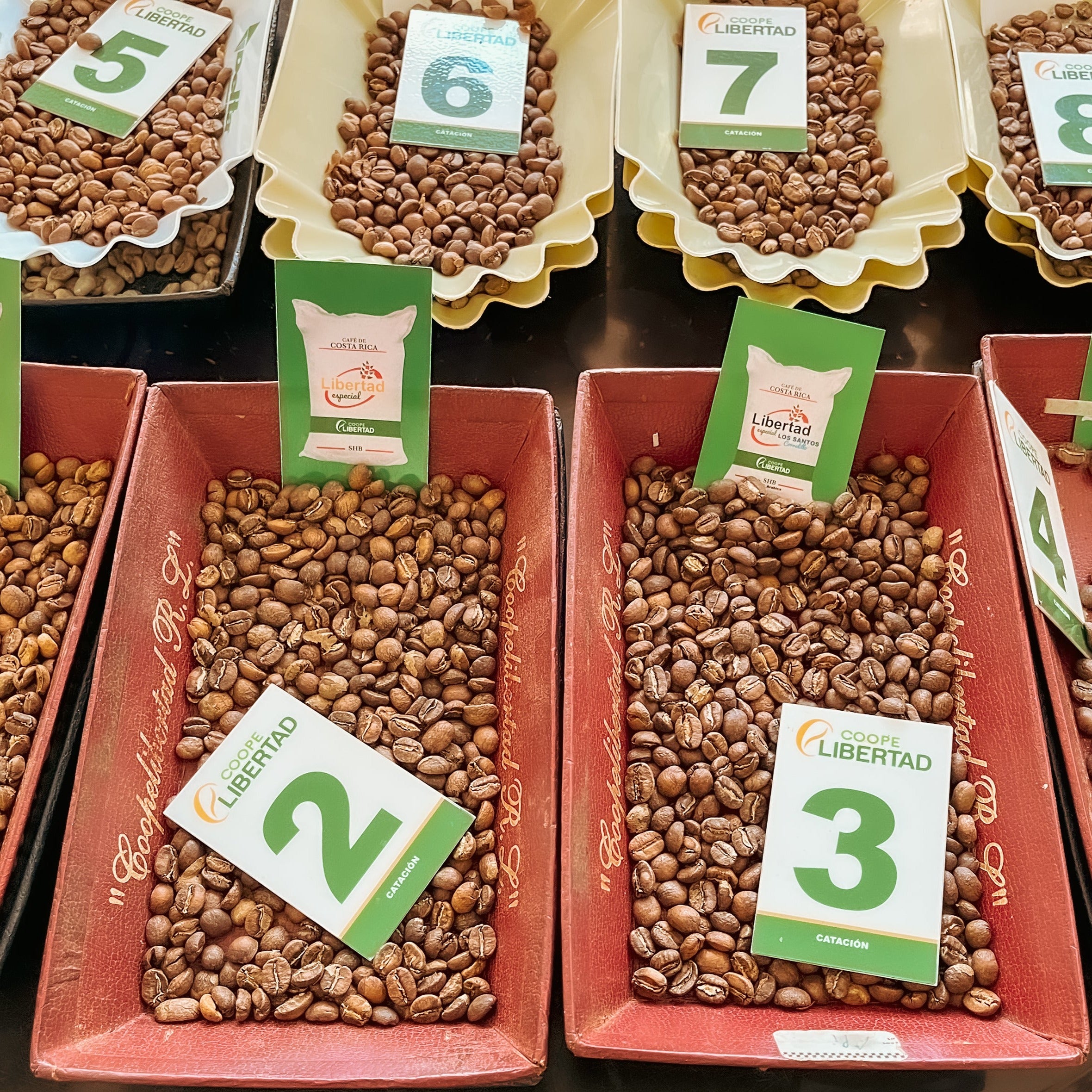 【中煎り】コスタリカリベルタ ウォッシュド/ Costa Rica Libertad Washed（100g） 日向珈琲