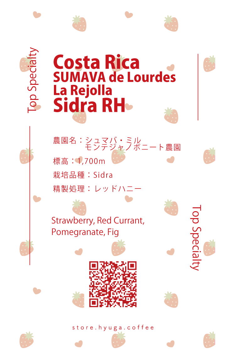 【浅煎り】コスタリカ シュマバ　ラ・レホージャ シドラ レッドハニー / Costa Rica SUMAVA de Lourdes La Rejolla Sidra RH（100g）