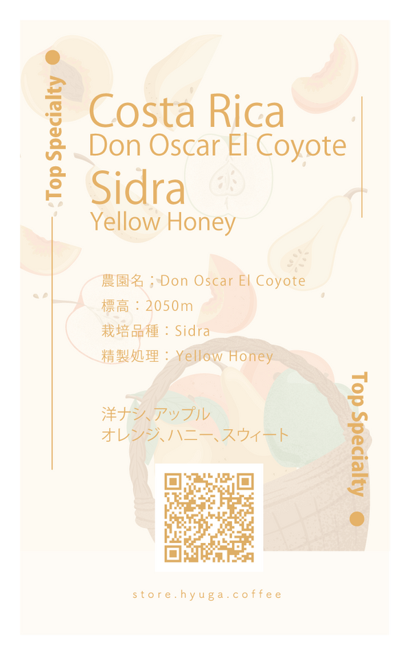 【浅煎り】コスタリカ　ドン・オスカル　エル・コヨーテ　シドラ / Costa Rica Don Oscar El Coyote Sidra Yellow Honey（100g）