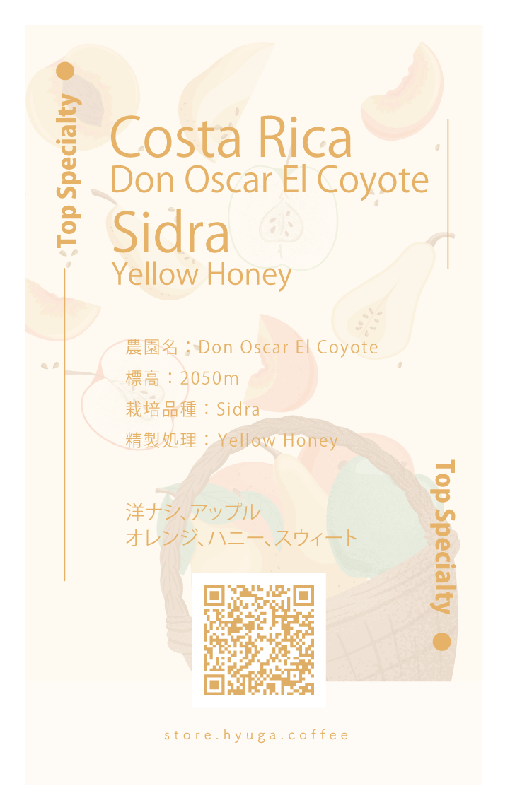 【浅煎り】コスタリカ　ドン・オスカル　エル・コヨーテ　シドラ / Costa Rica Don Oscar El Coyote Sidra Yellow Honey（100g）