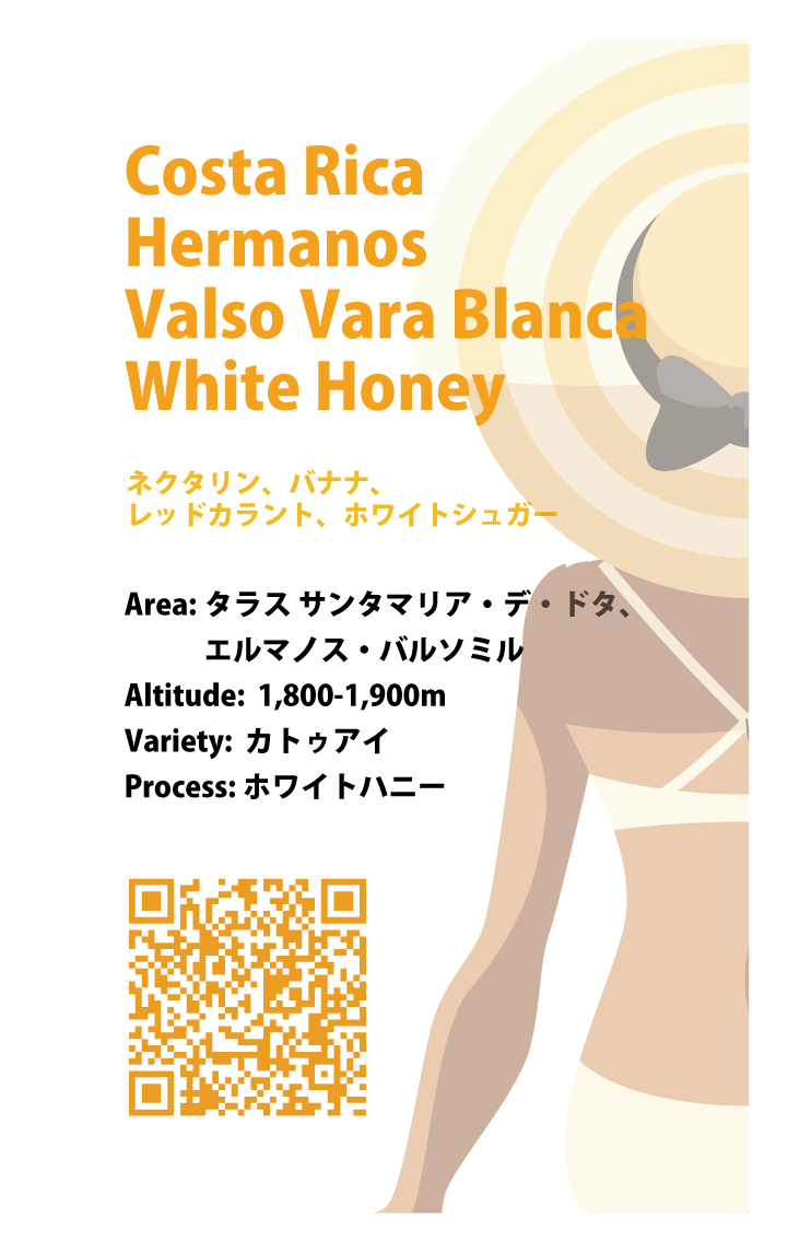 【浅煎り】コスタリカ エルマノス・バルソ バラブランカ カトゥアイ ホワイトハニー / Costa Rica Hermanos Valso Vara Blanca White Honey（100g）
