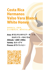 【浅煎り】コスタリカ エルマノス・バルソ バラブランカ カトゥアイ ホワイトハニー / Costa Rica Hermanos Valso Vara Blanca White Honey（100g）