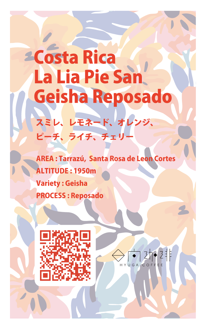 【浅煎り】コスタリカ ラ リア ピエサン レポサド ゲイシャ / Costa Rica La Lia Pie San Reposado Geisha(100g)
