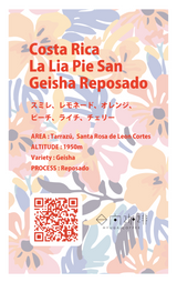 【浅煎り】コスタリカ ラ リア ピエサン レポサド ゲイシャ / Costa Rica La Lia Pie San Reposado Geisha(100g)