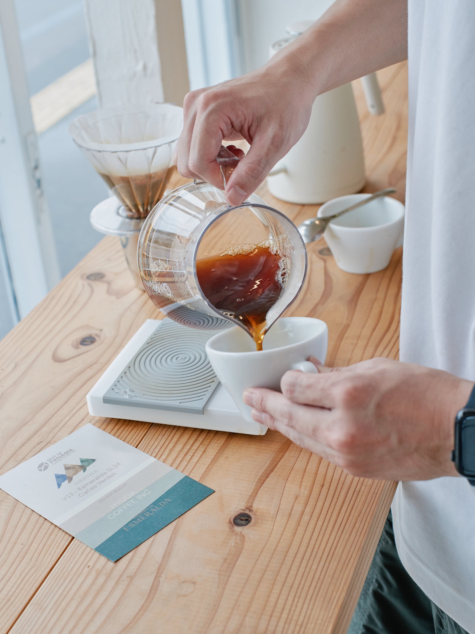 Best of Panama 2024 V-13 / ESMERALDA CAÑAS VERDES SL-34 NATURAL