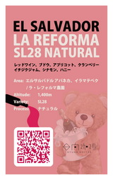 【浅煎り】El Salvador La Reforma SL28 Natural / エルサルバドル ラ・レフォルマ SL28 ナチュラル(100g)