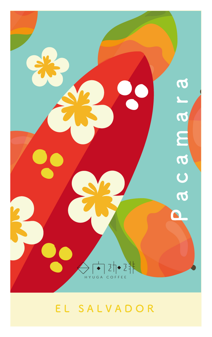 El_Salvador_Las_Laderas_Pacama