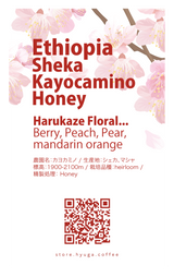 【浅煎り】エチオピア シェカ カヨカミノ農園 ハニー /  Ethiopia Sheka Kayocamino Honey（100g）