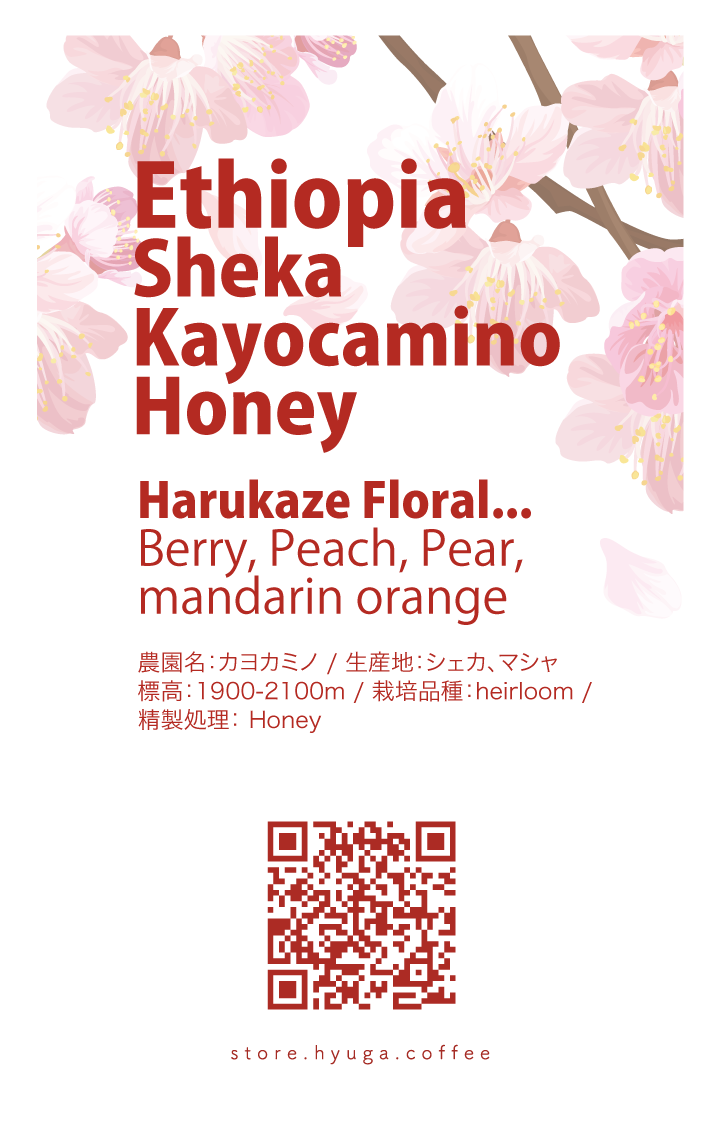 【浅煎り】エチオピア シェカ カヨカミノ農園 ハニー /  Ethiopia Sheka Kayocamino Honey（100g）