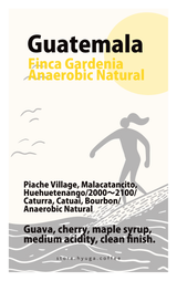 【浅煎り】グアテマラ ガルディニア アナエロビックナチュラル / Guatemala Finca Gardenia Anaerobic Natural（100g）