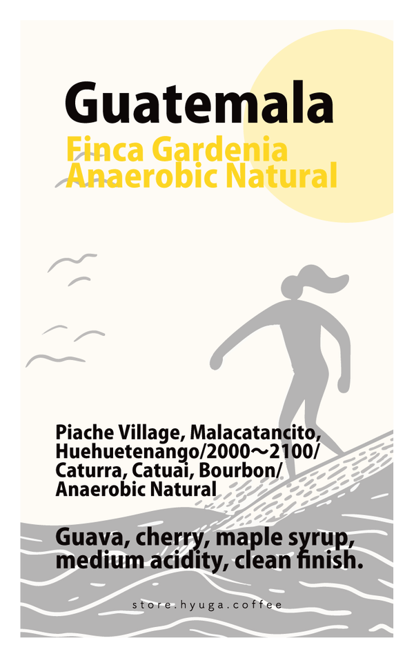 【浅煎り】グアテマラ ガルディニア アナエロビックナチュラル / Guatemala Finca Gardenia Anaerobic Natural（100g）