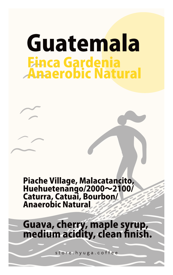【浅煎り】グアテマラ ガルディニア アナエロビックナチュラル / Guatemala Finca Gardenia Anaerobic Natural（100g）