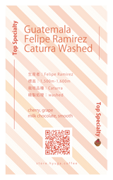 【中煎り】グアテマラ フェリップ ラミレス カツーラ ウォッシュド / Guatemala - Felipe Ramirez Caturra Washed（100g）