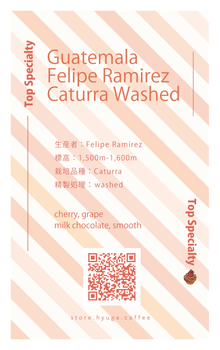 【中煎り】グアテマラ フェリップ ラミレス カツーラ ウォッシュド / Guatemala - Felipe Ramirez Caturra Washed（100g）