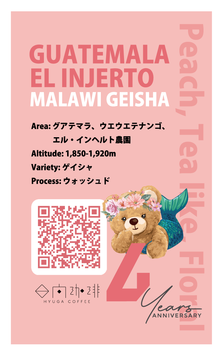 【浅煎り】グアテマラ エル・インヘルト マラウィゲイシャ ウォッシュド/ Guatemala El Injerto Malawi Geisha washed(100g)