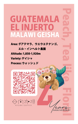 【浅煎り】グアテマラ エル・インヘルト マラウィゲイシャ ウォッシュド/ Guatemala El Injerto Malawi Geisha washed(100g)