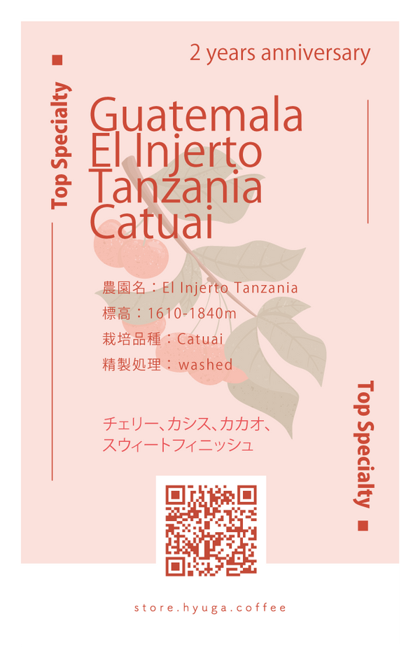 【浅煎り】グアテマラ エルインヘルト タンザニア　カトゥアイ/ Guatemala El Injerto Tanzania Catuai（100g）