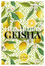 【浅煎り】ホンジュラス フアン・カルロス ゲイシャ ウォッシュド / Honduras Juan Carlos Juárez Geisha washed（100g）